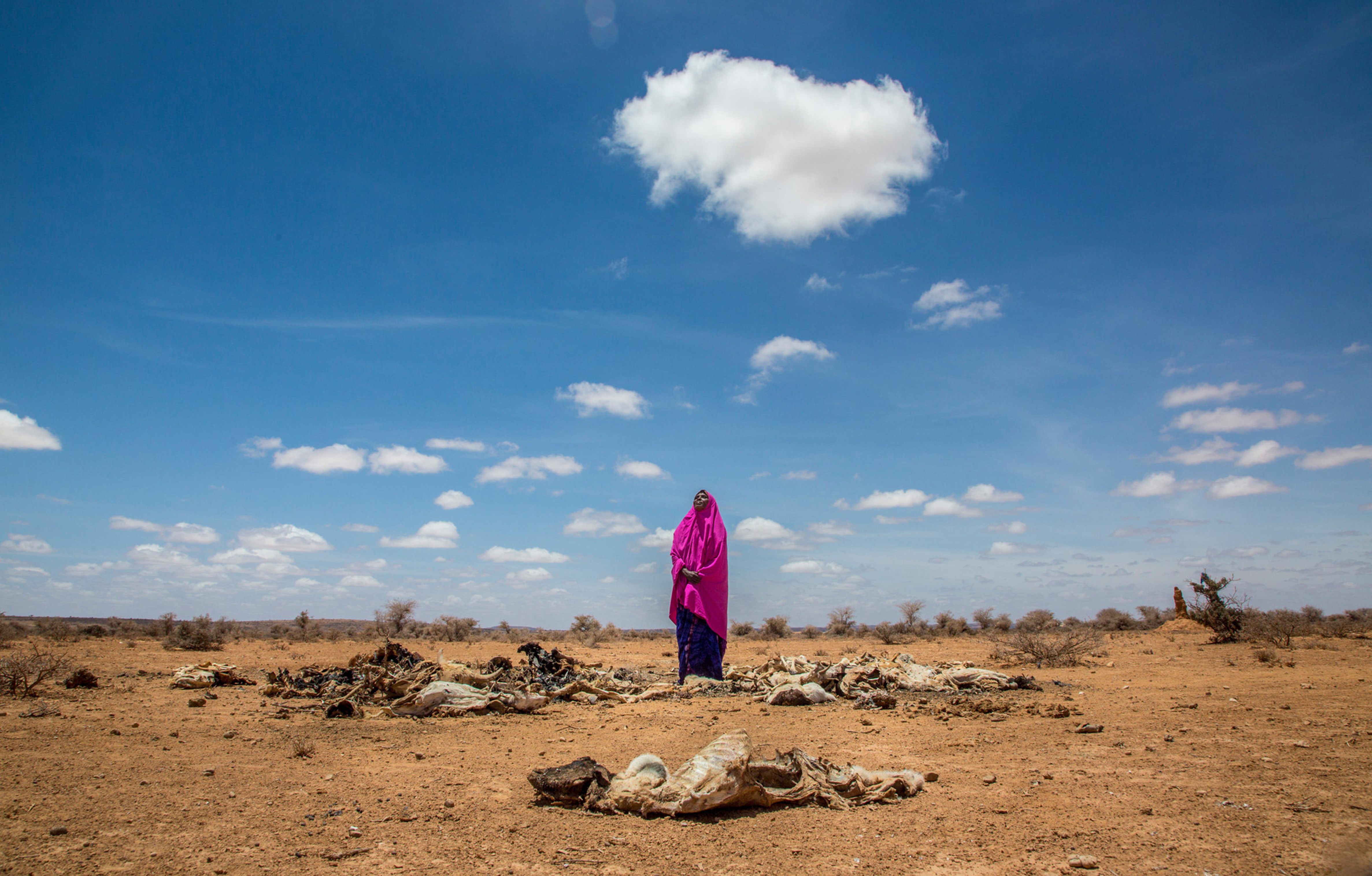 Klima_Somalia tørke_© Georgina Goodwin