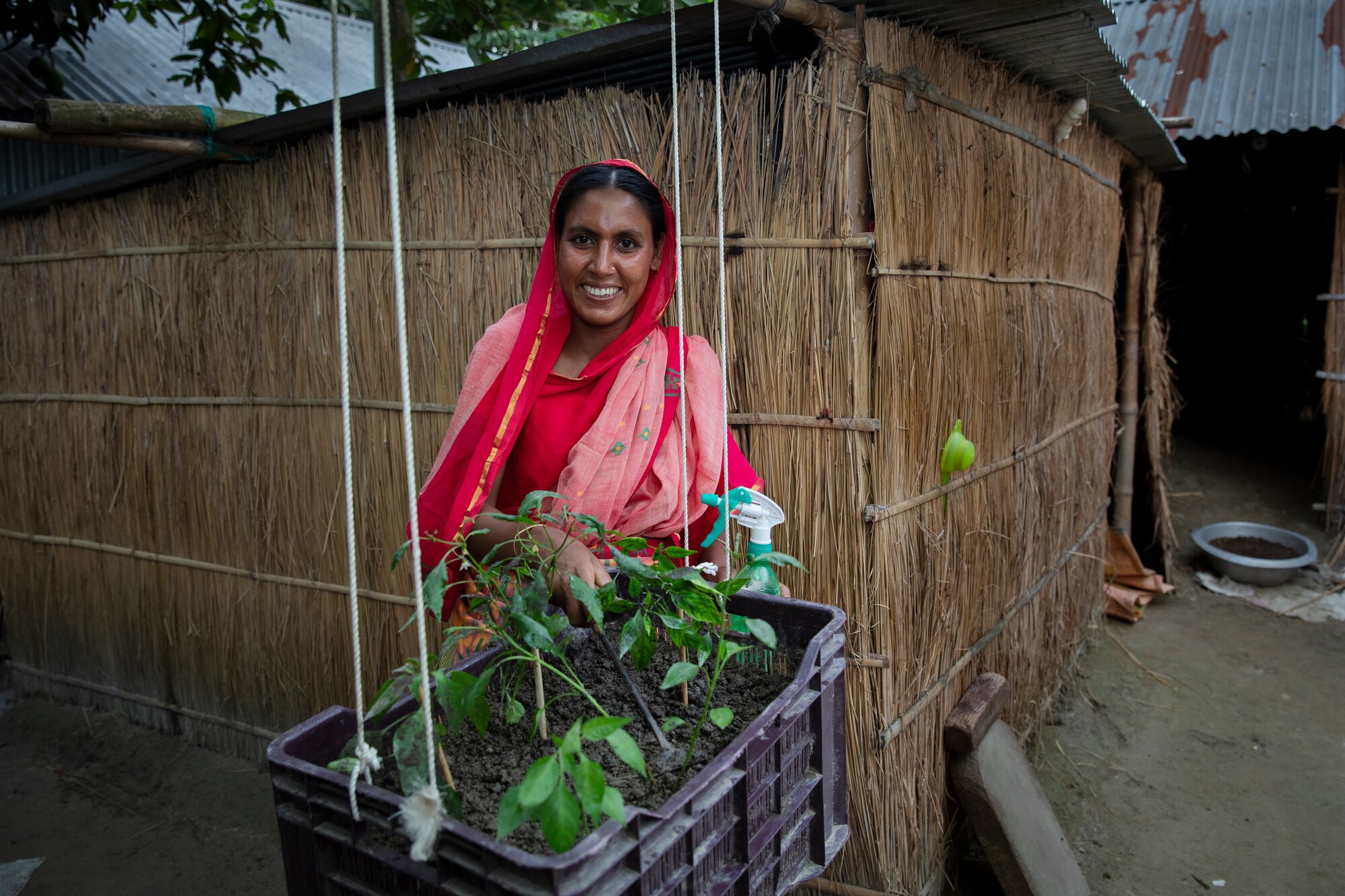 Shirina Begum_hængende køkkenhave_Bangladesh