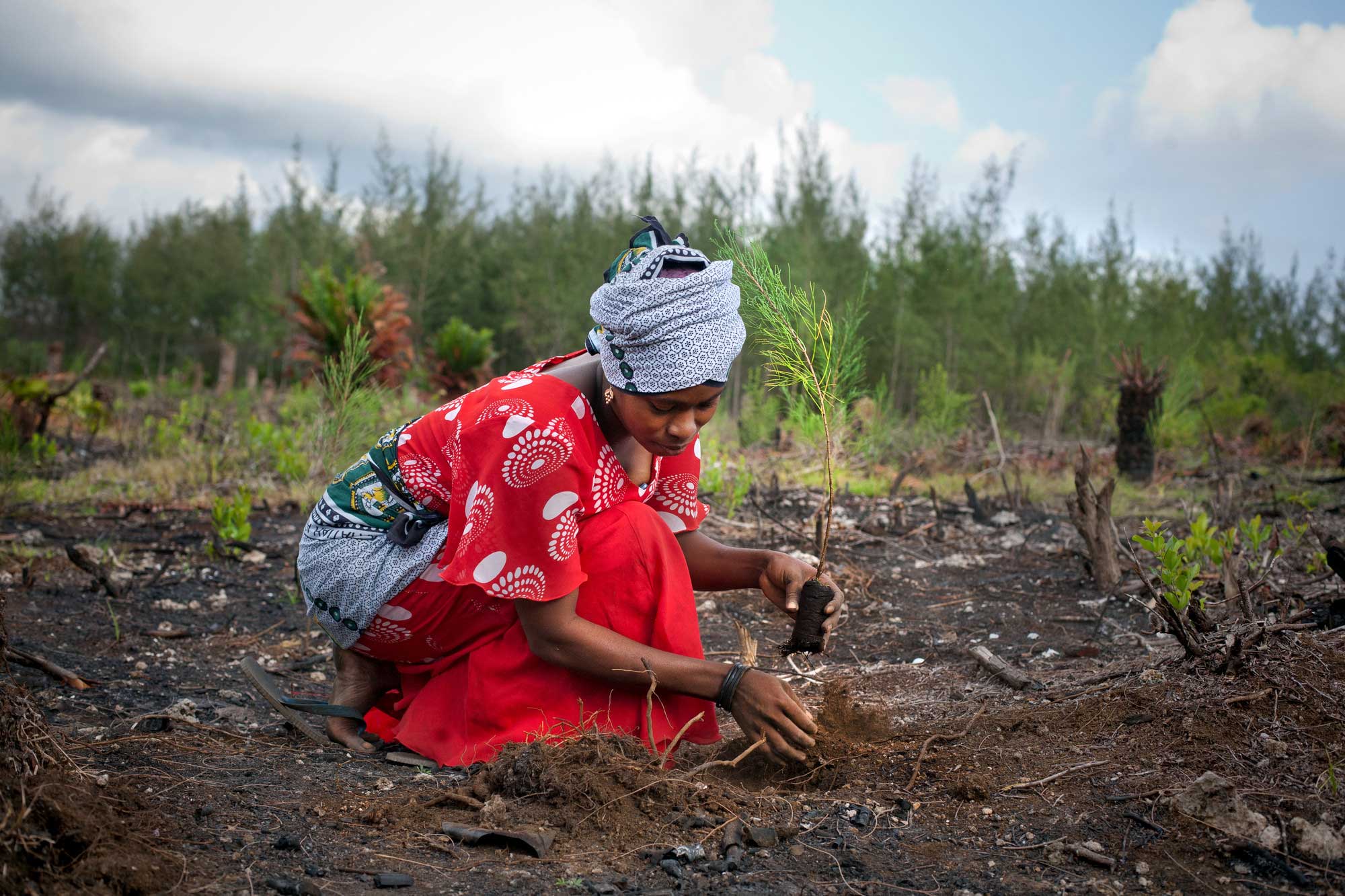 ©Evelyn Hockstein RS36857 TNZ