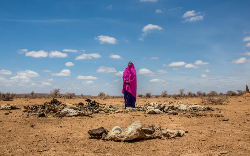 © Georgina Goodwin, drought Somaliland